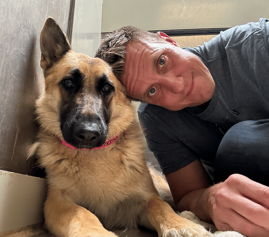 Rippy for Adoption (Empty the Shelters 2024)